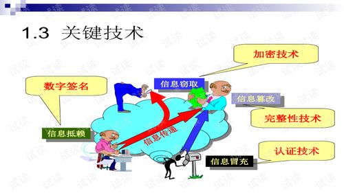 网络攻防技术与计算机软件技术服务 数字时代的安全屏障